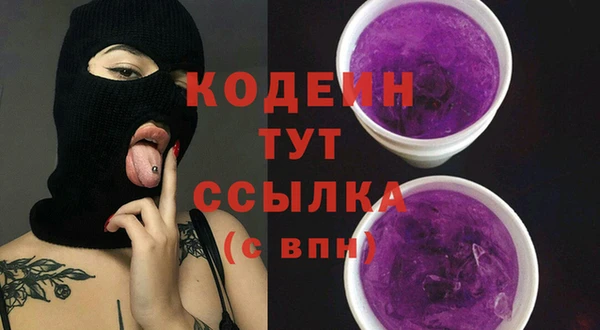 дживик Бронницы