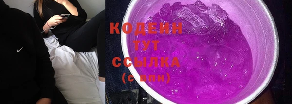 дживик Бронницы