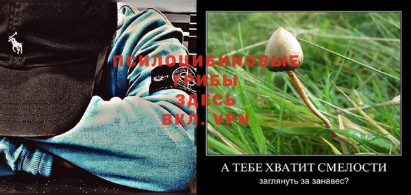 прущие крисы Бугульма