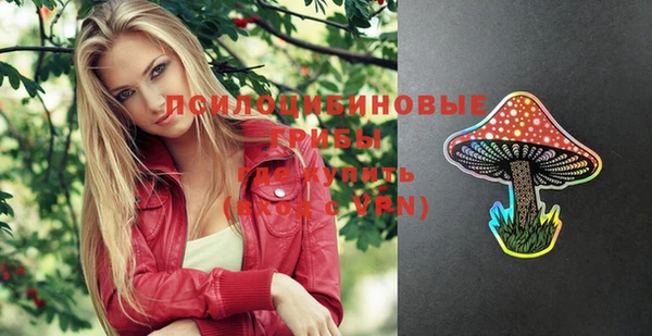 винт Бородино