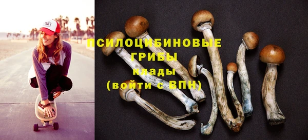 дживик Бронницы