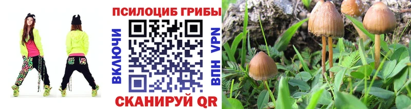Галлюциногенные грибы Magic Shrooms  Купить  Голицыно 